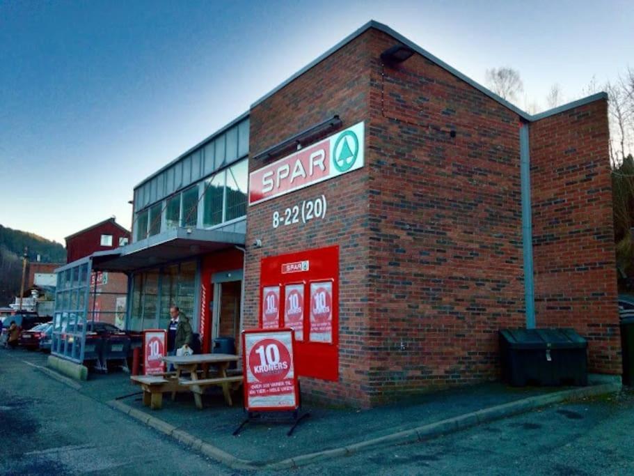 Fin Sentralt Hybel I Drammen Appartement Buitenkant foto